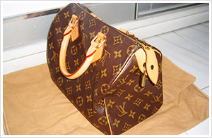 Are Louis Vuitton Purses Worth The Money?