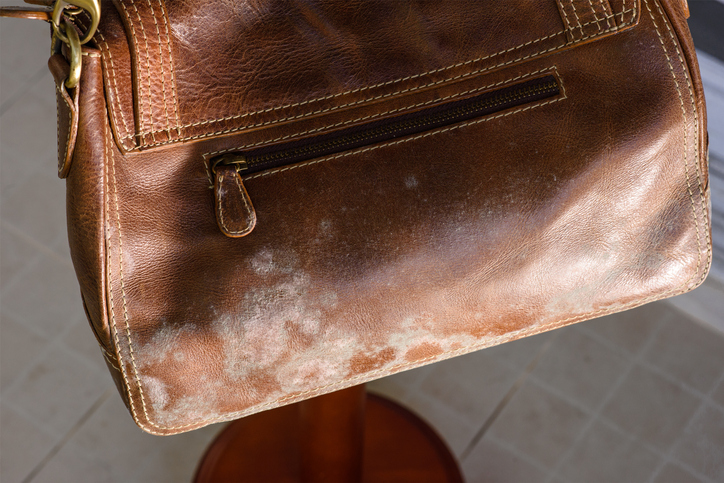 stain on purse